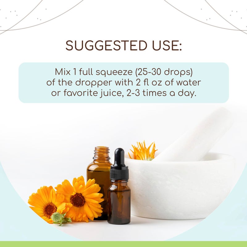 HerbEra Alfalfa B60 Alcohol-Free Herbal Extract Tincture, Concentrated Liquid Drops Natural Alfalfa 2 fl oz - Image 2